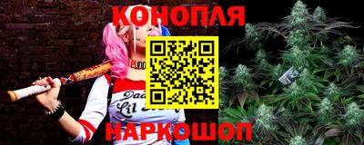 Альфа ПВП Будённовск